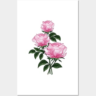 Pink Roses - Hand-painted watercolor flowers Posters and Art